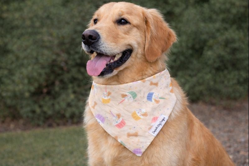 Party Pupcakes Bandana - Birthday Over The Collar Dog Bandana - Nifty Decor & More