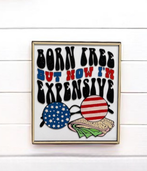 Patriotic Wooden Canvas Frame, Funky Balloon Dogs & Yummy Ice Cream Designs, Perfect Wall Art for Home or Party, Fun Gift for Art Lovers Patriotic Wall Décor Born Free