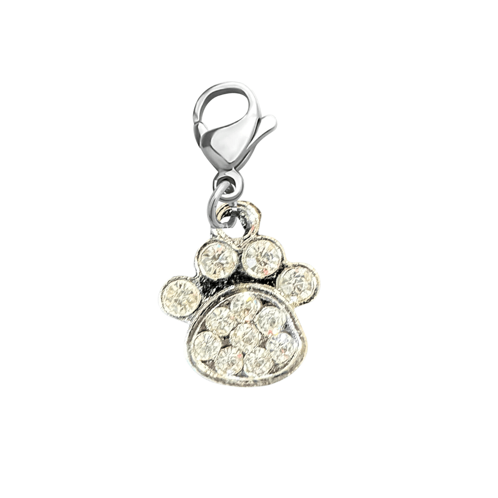 Paw Print Pet Charm - Nifty Decor & More