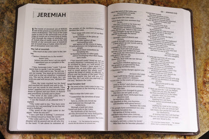 Personalized - NIV Value Thinline Bible, Large Print, Leathersoft, Brown Bible