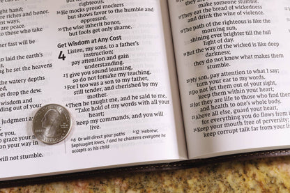 Personalized - NIV Value Thinline Bible, Large Print, Leathersoft, Brown - Nifty Decor & More