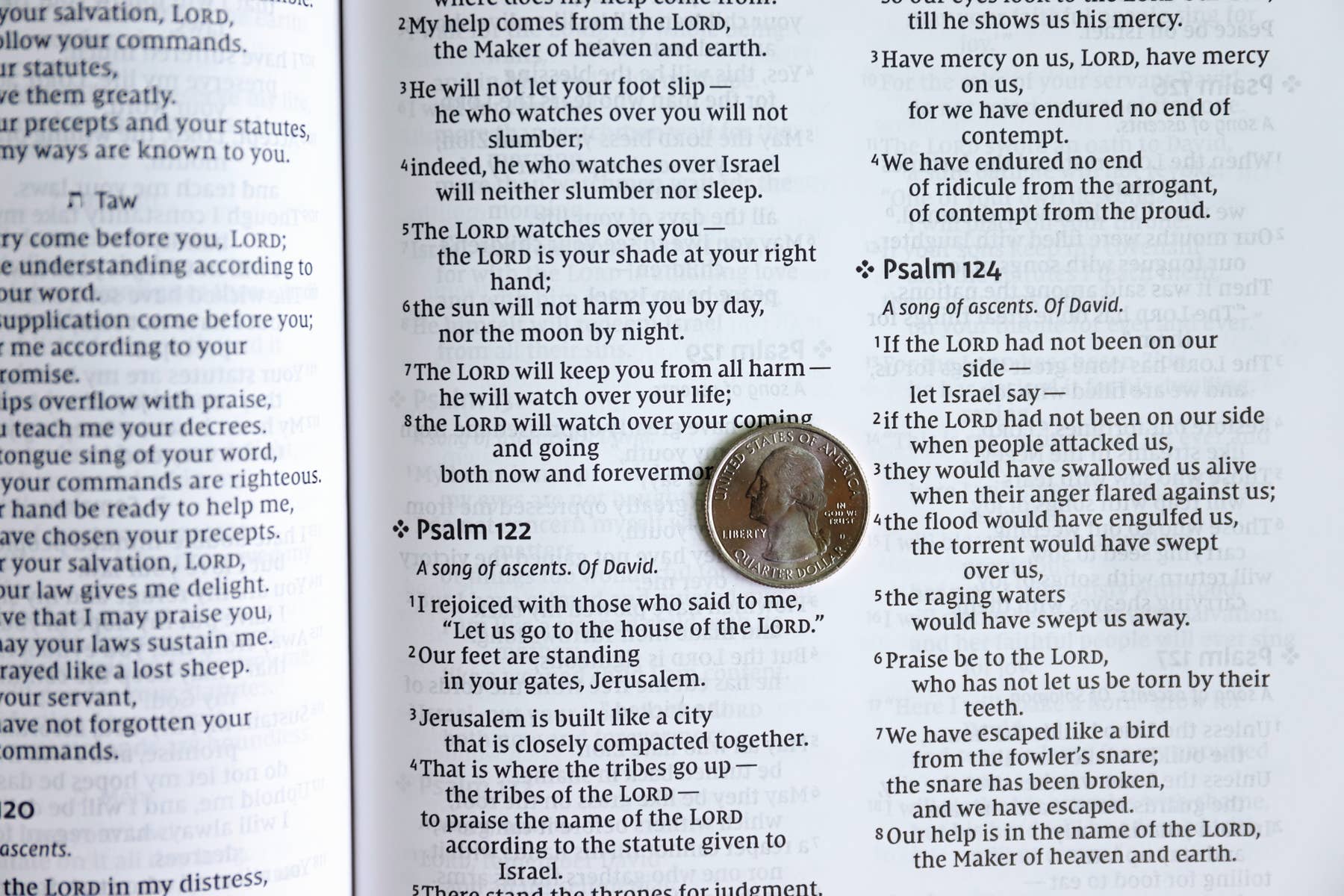 Personalized -NIV Value Thinline Bible Large Print Leathersoft Teal Bible