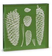 RAZ - 8" Pinecone Acrylic Block Shelf Sitter 2 Pinecones  