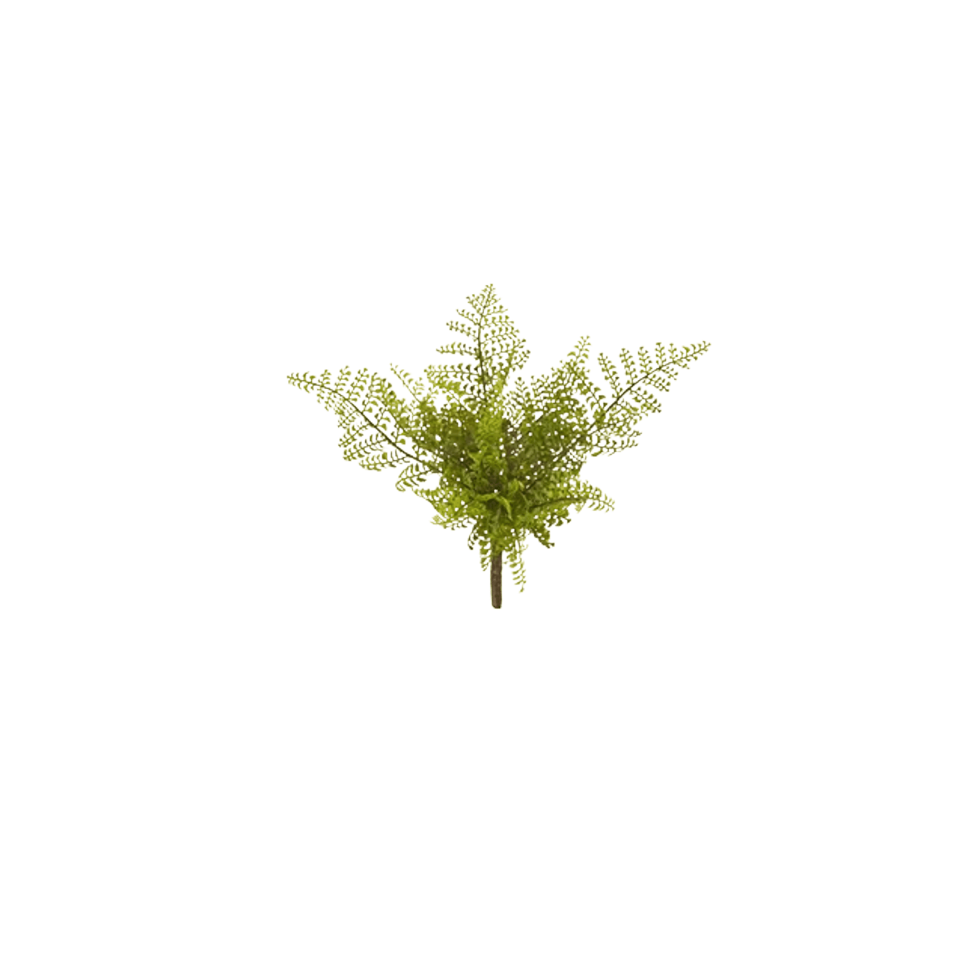 RAZ - 15" Fern Bush - Realistic Artificial Fern Plant, Home Decor, Office Decor, Greenery, Indoor Plants, Floral Arrangement, Housewarming - Nifty Decor & More