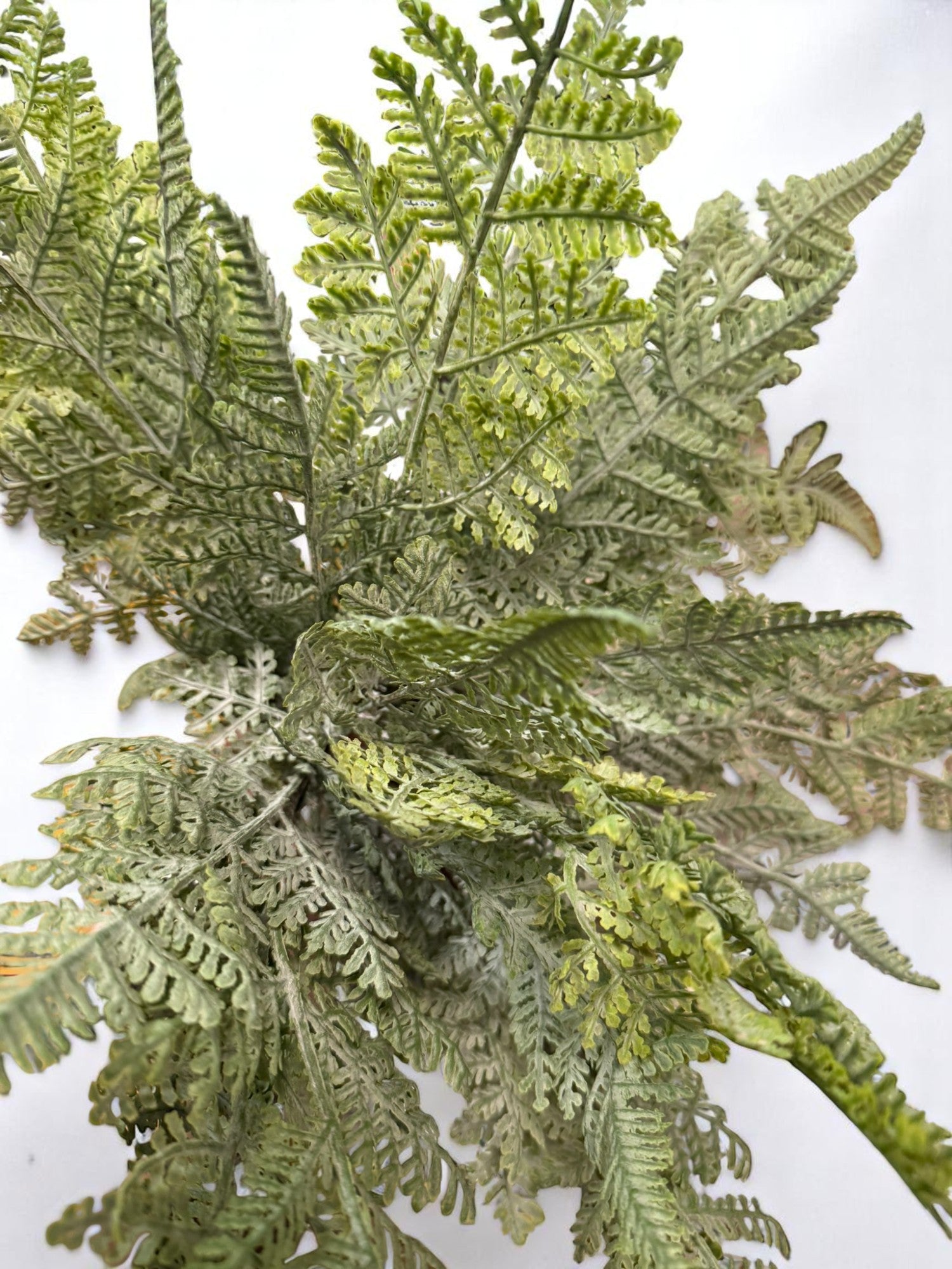 RAZ - 15" Fern Bush - Realistic Artificial Fern Plant, Home Decor, Office Decor, Greenery, Indoor Plants, Floral Arrangement, Housewarming Design 1