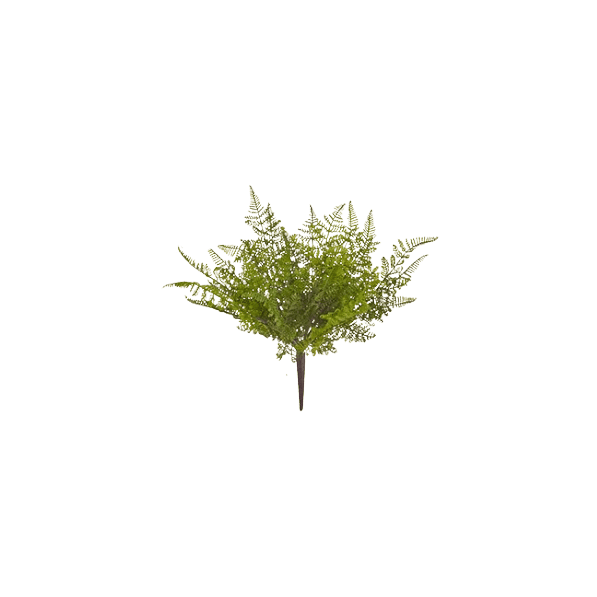 RAZ - 15" Fern Bush - Realistic Artificial Fern Plant, Home Decor, Office Decor, Greenery, Indoor Plants, Floral Arrangement, Housewarming - Nifty Decor & More