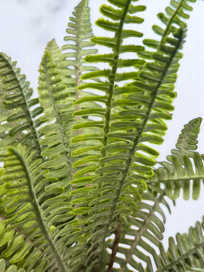 RAZ - 15" Fern Bush - Realistic Artificial Fern Plant, Home Decor, Office Decor, Greenery, Indoor Plants, Floral Arrangement, Housewarming - Nifty Decor & More