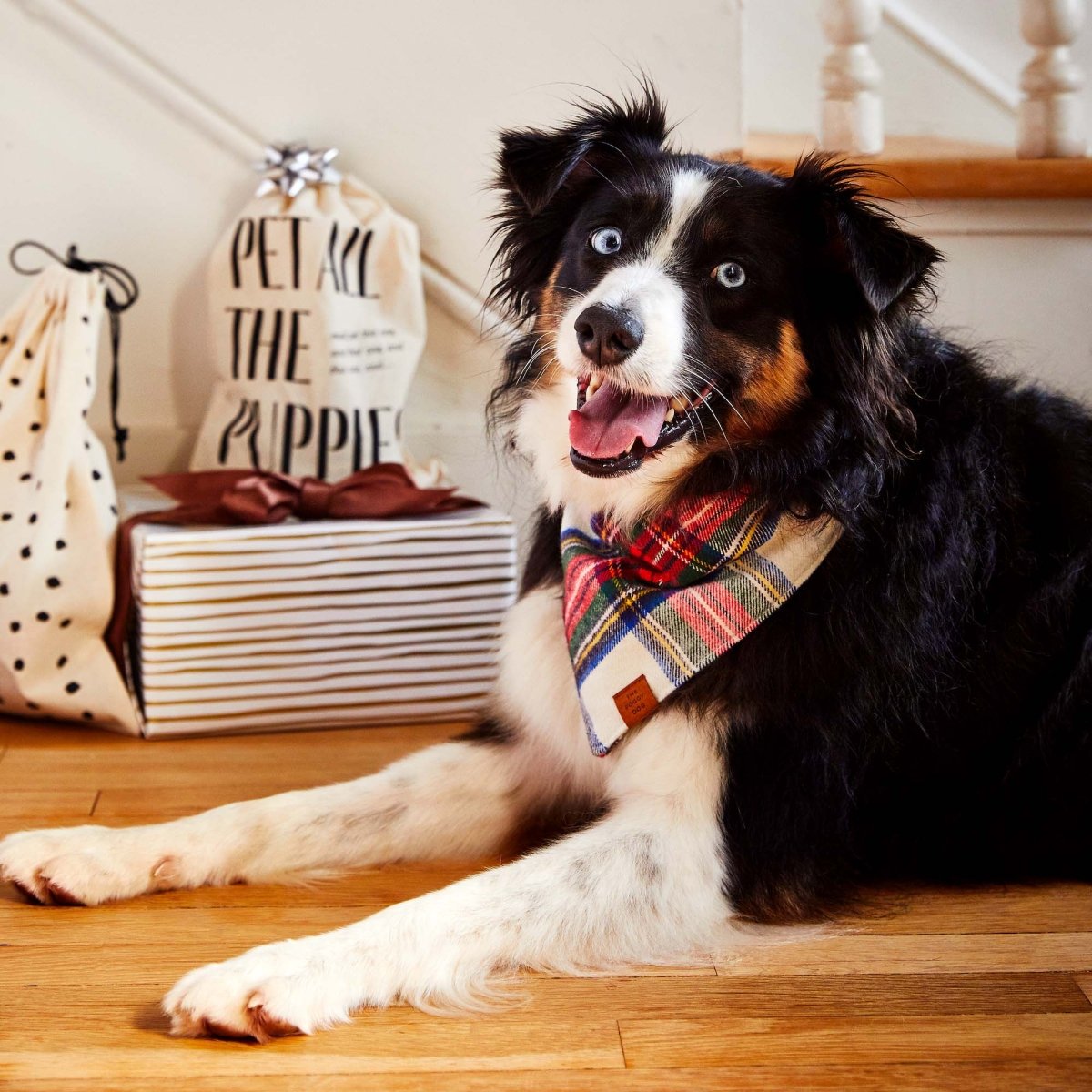 Regent Plaid Flannel Holiday Dog Bandana - Nifty Decor & More