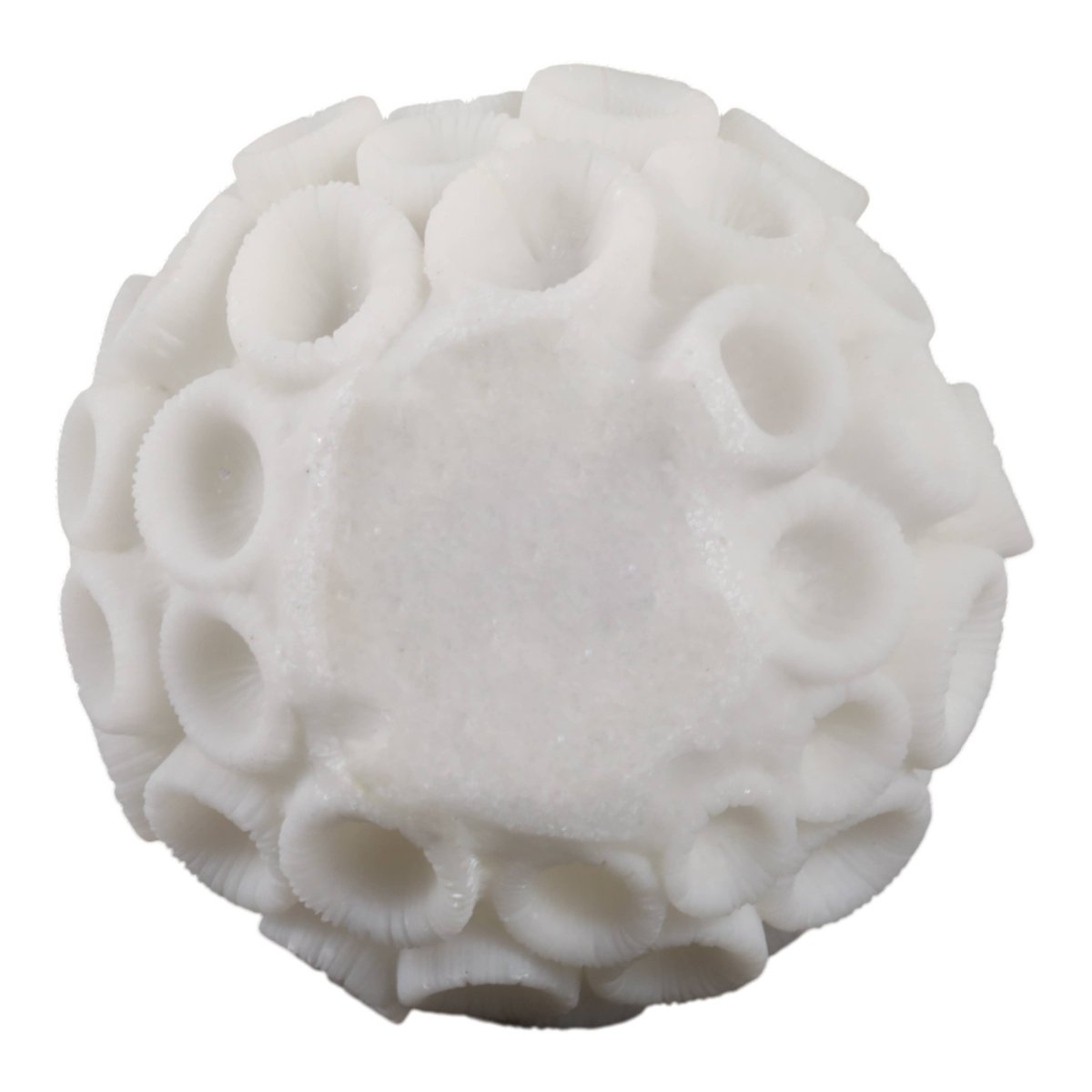 Resin Coastal Round Coral Decorative Orb - Ivory, 5 in. - Nifty Decor & More