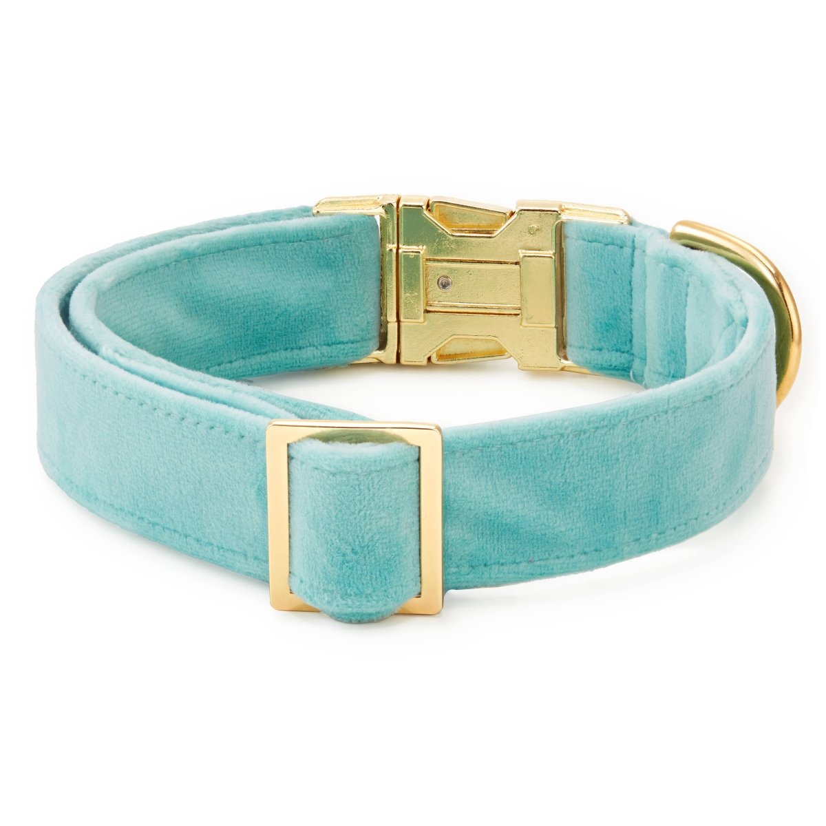 Robin's Egg Blue Velvet Spring Dog Collar - Nifty Decor & More