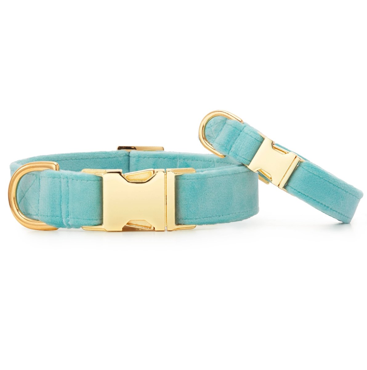 Robin's Egg Blue Velvet Spring Dog Collar - Nifty Decor & More