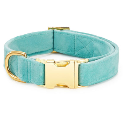 Robin's Egg Blue Velvet Spring Dog Collar - Nifty Decor & More