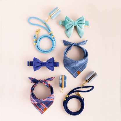 Robin's Egg Blue Velvet Spring Dog Collar - Nifty Decor & More