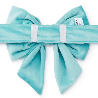 Robin's Egg Velvet Spring Lady Dog Bow - Nifty Decor & More