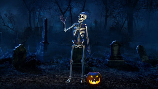 Silly Skeletons 2 Scene