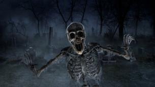 Skeleton Surprise Scene
