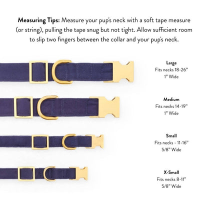 Spellbound Dog Collar - Nifty Decor & More