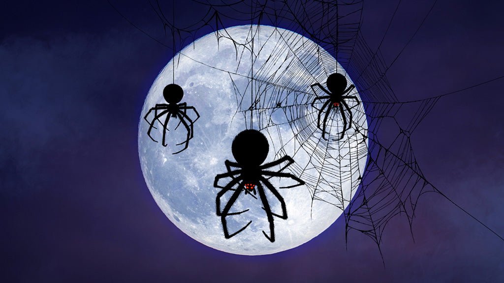 Spider Surprise Scene