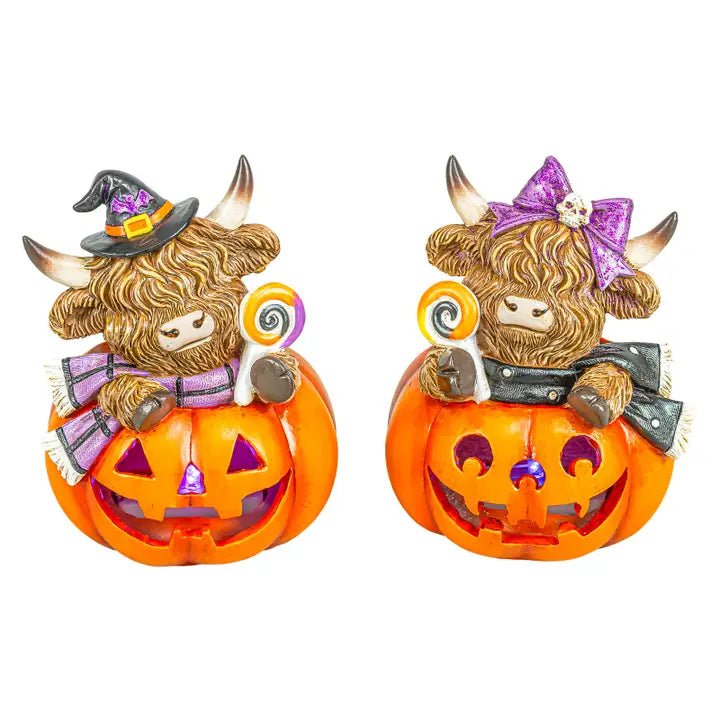 Spooky Halloween Highland Cow Jack-O-Lantern - Nifty Decor & More