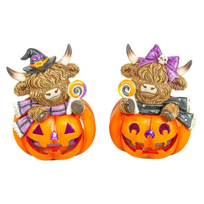Spooky Halloween Highland Cow Jack-O-Lantern - Nifty Decor & More