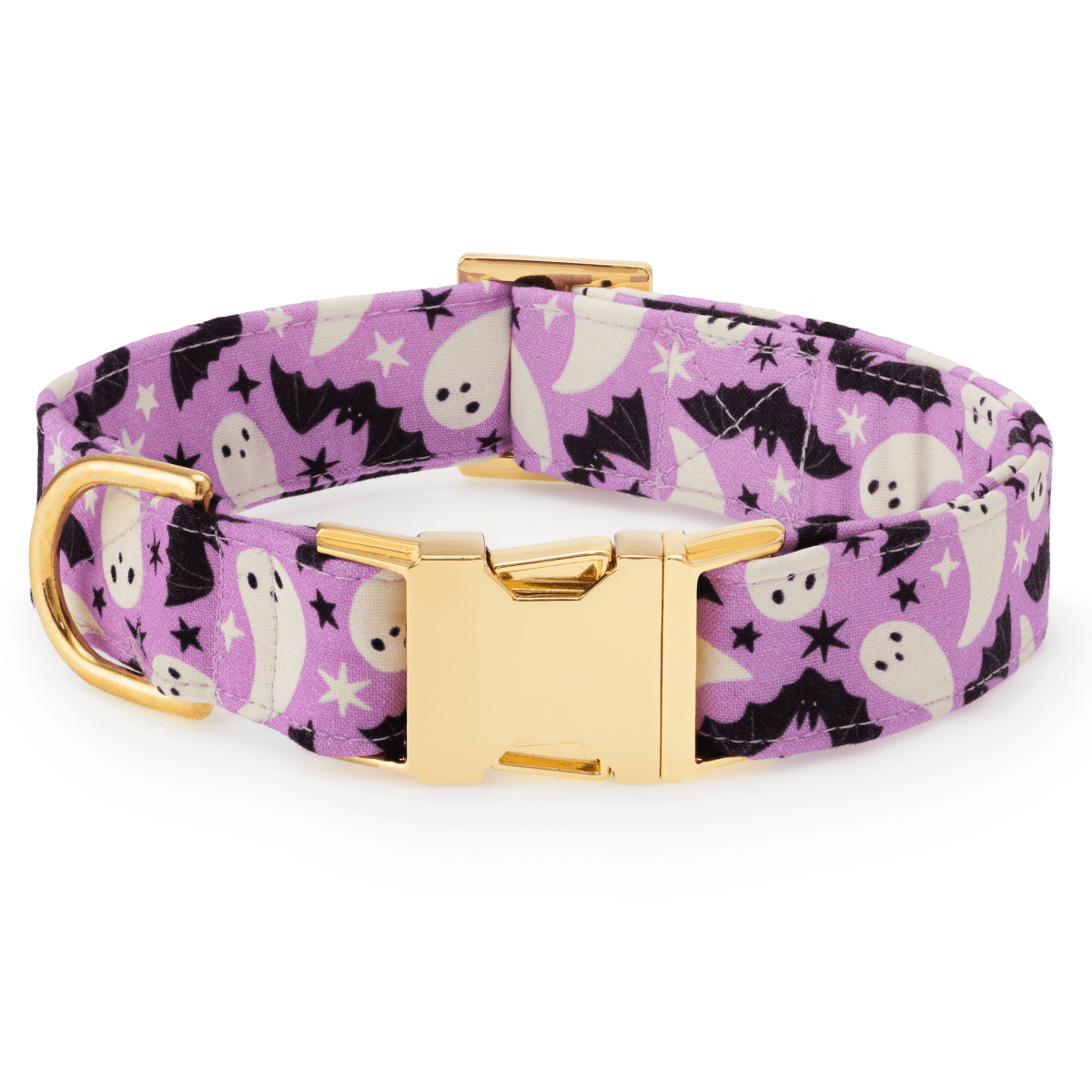 Spooky Season Glow-in-the-Dark Dog Collar - Nifty Decor & More