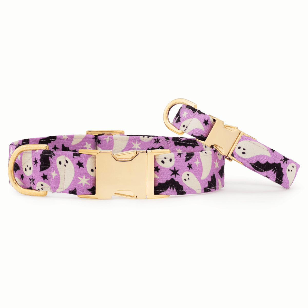 Spooky Season Glow-in-the-Dark Dog Collar - Nifty Decor & More
