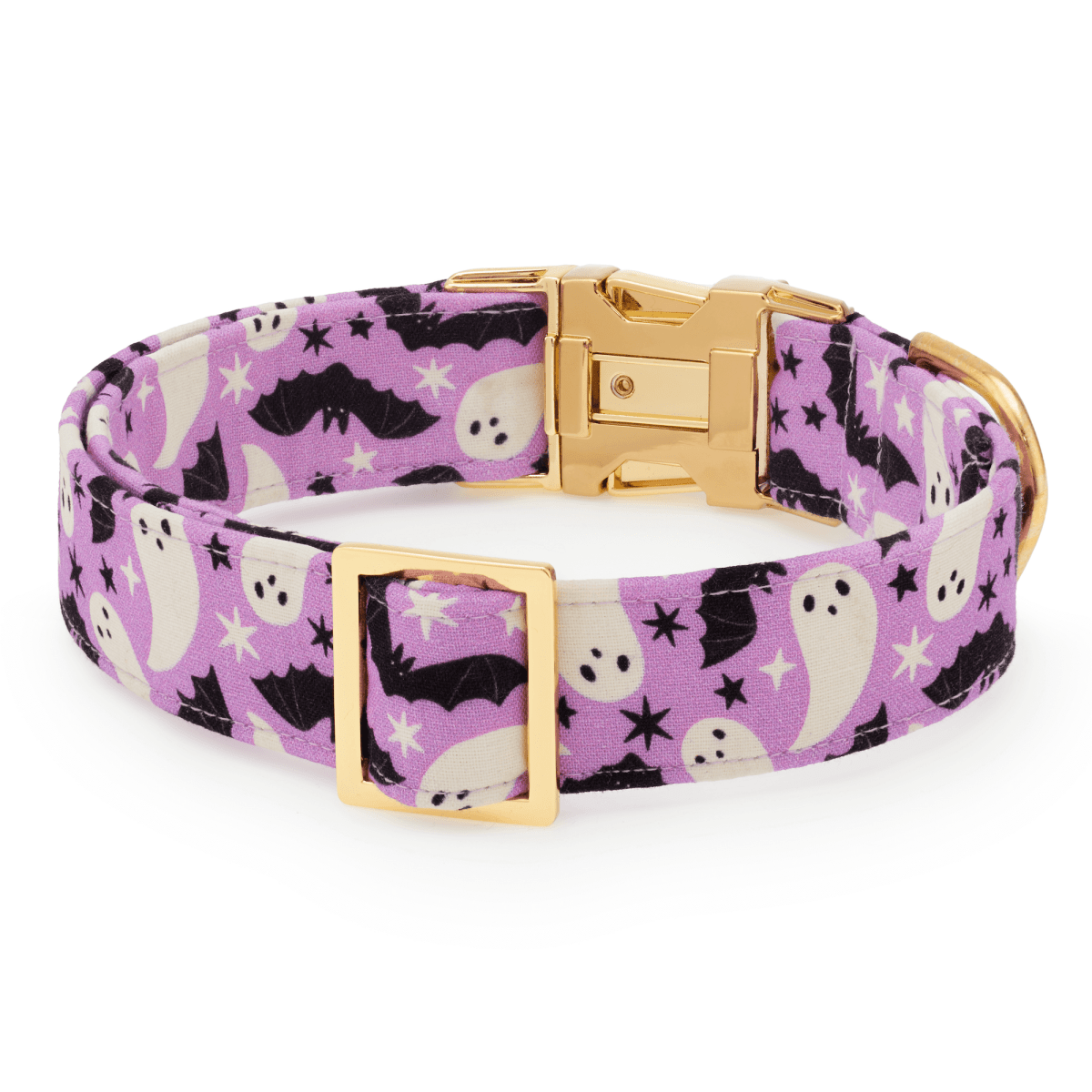 Spooky Season Glow-in-the-Dark Dog Collar - Nifty Decor & More
