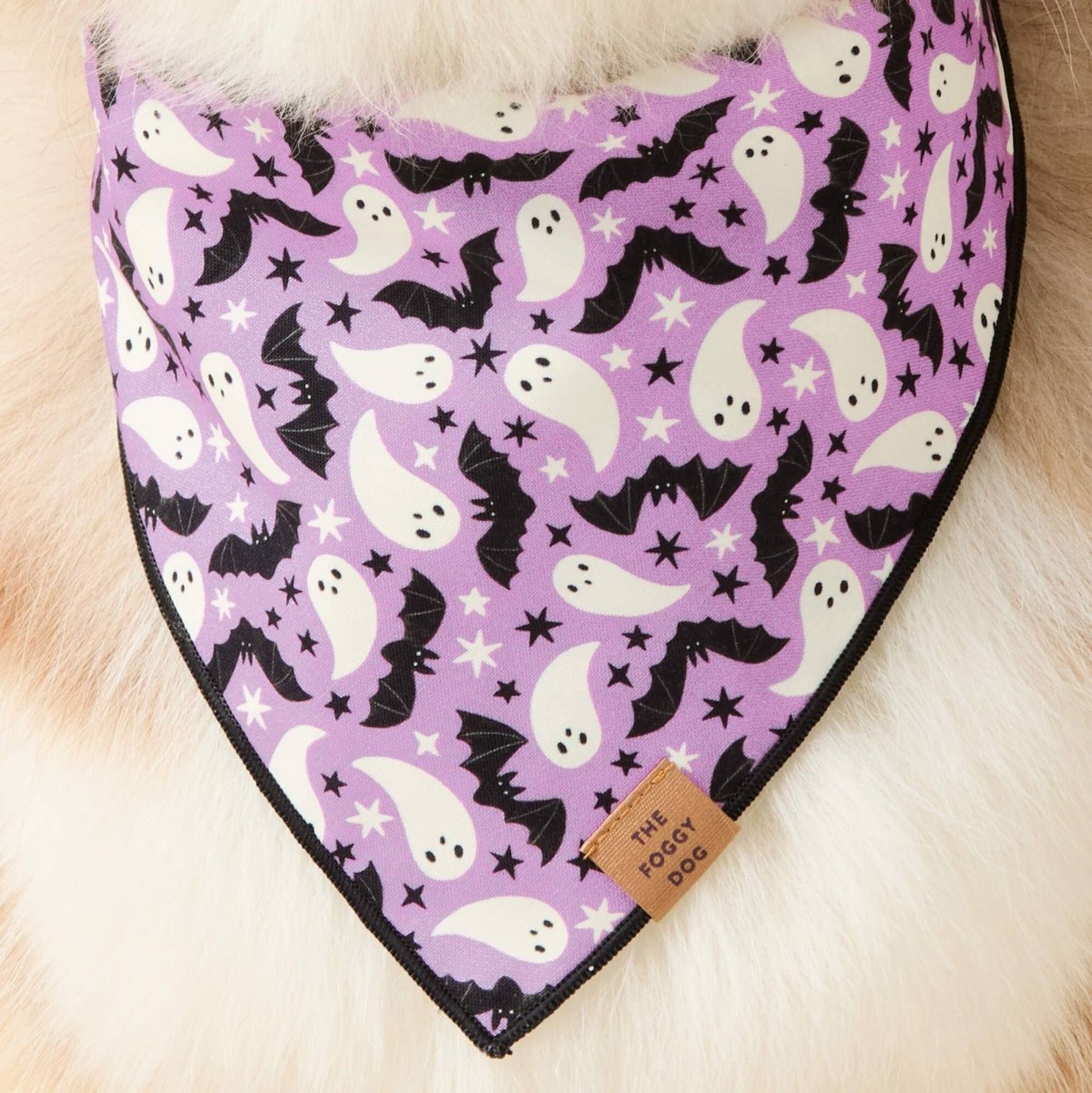 Spooky Season Reversible Dog Bandana - Nifty Decor & More