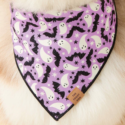 Spooky Season Reversible Dog Bandana - Nifty Decor & More