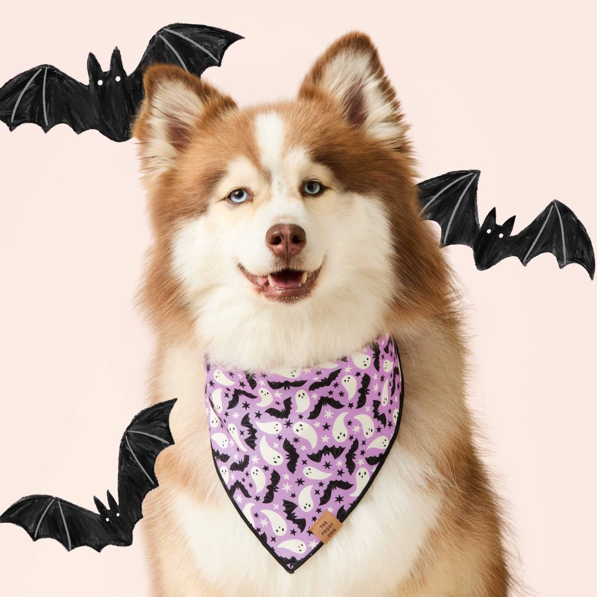 Spooky Season Reversible Dog Bandana - Nifty Decor & More