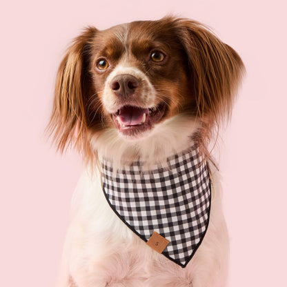 Spooky Season Reversible Dog Bandana - Nifty Decor & More