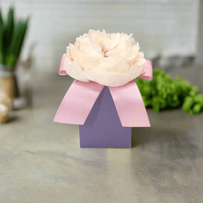 Spring Hyacinth 8 oz with gift box - Nifty Decor & More