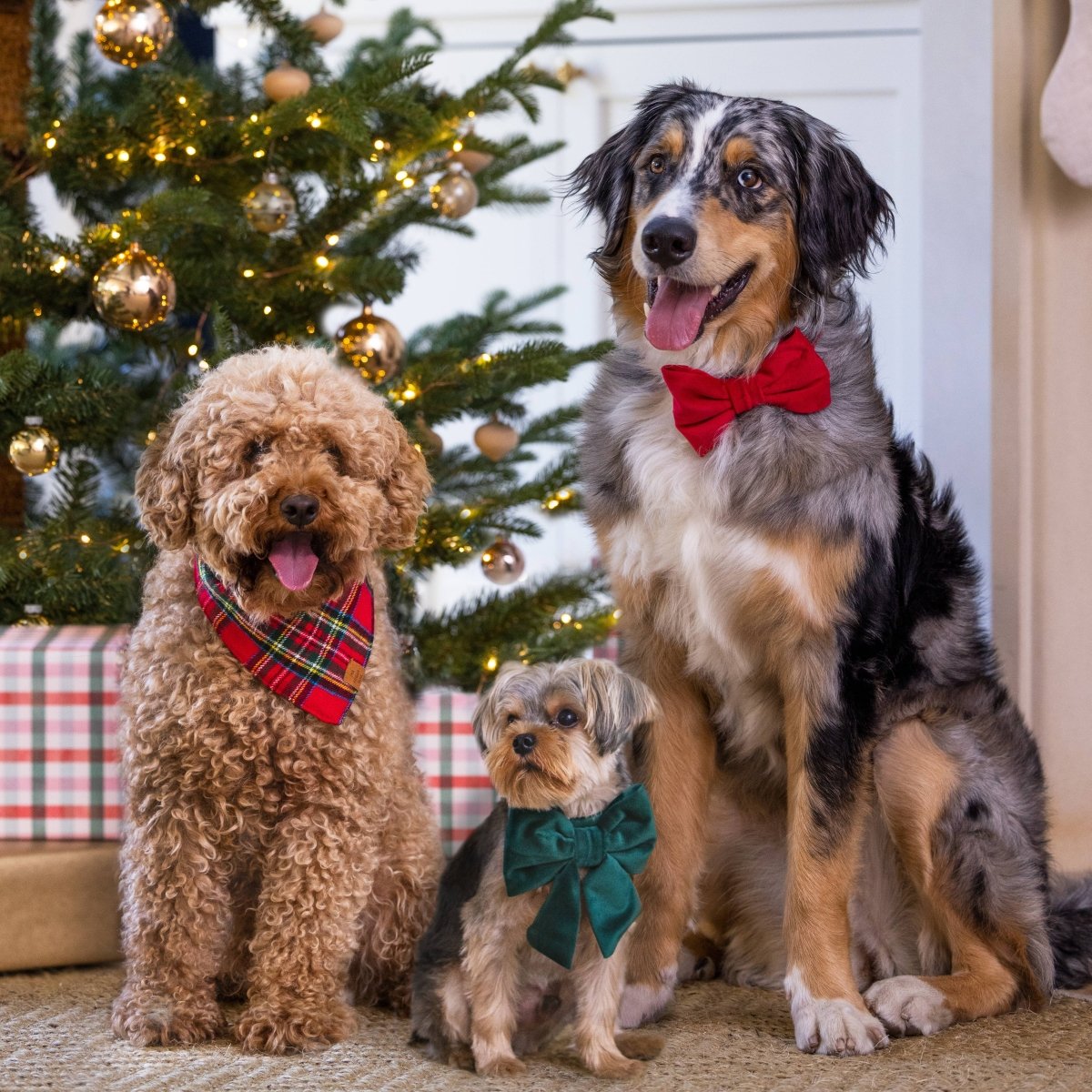 Tartan Plaid Flannel Holiday Dog Bandana - Nifty Decor & More