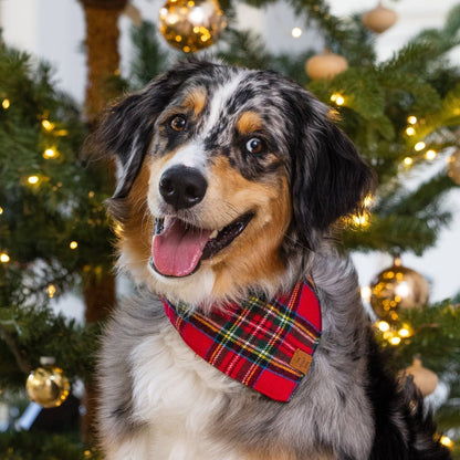 Tartan Plaid Flannel Holiday Dog Bandana - Nifty Decor & More
