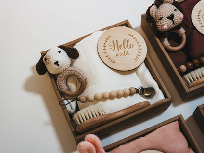Welcome Baby Gift Box - Charming 6 - Piece Set for Newborns - Nifty Decor & More