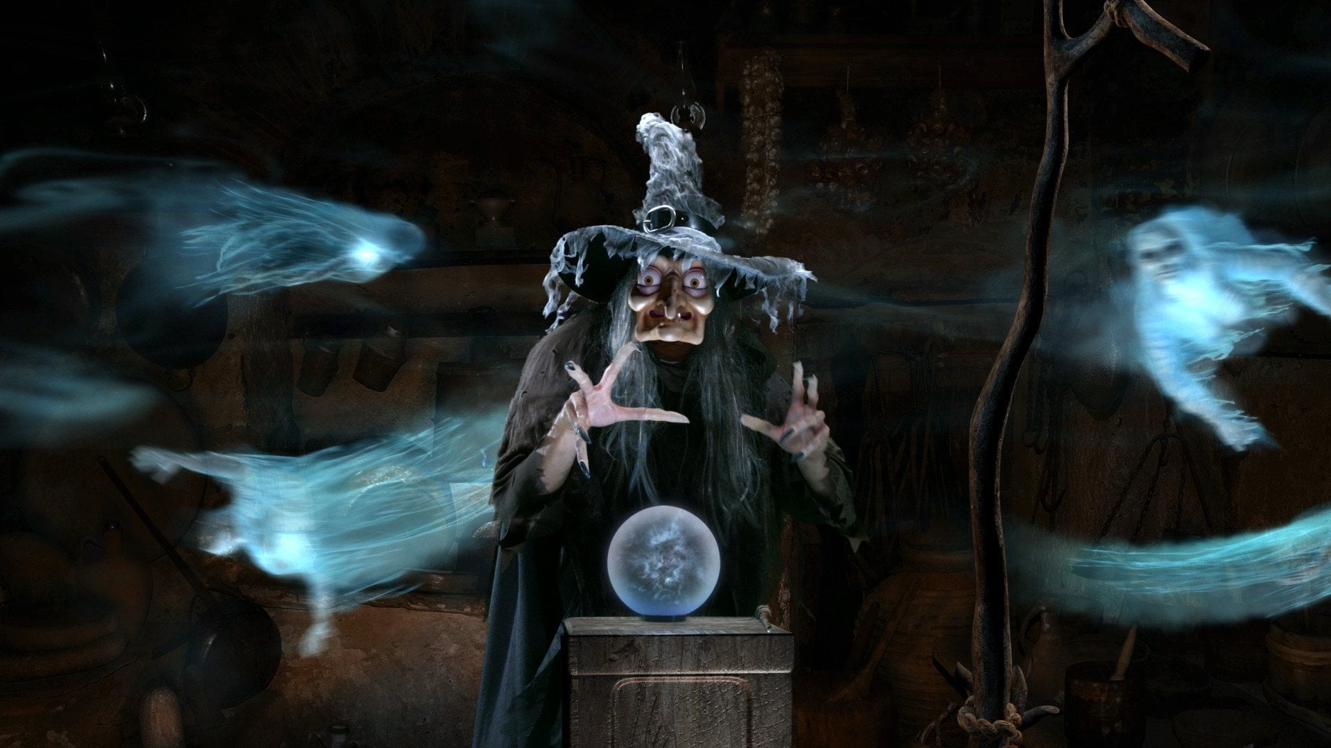 Witching Hour Decoration Collection