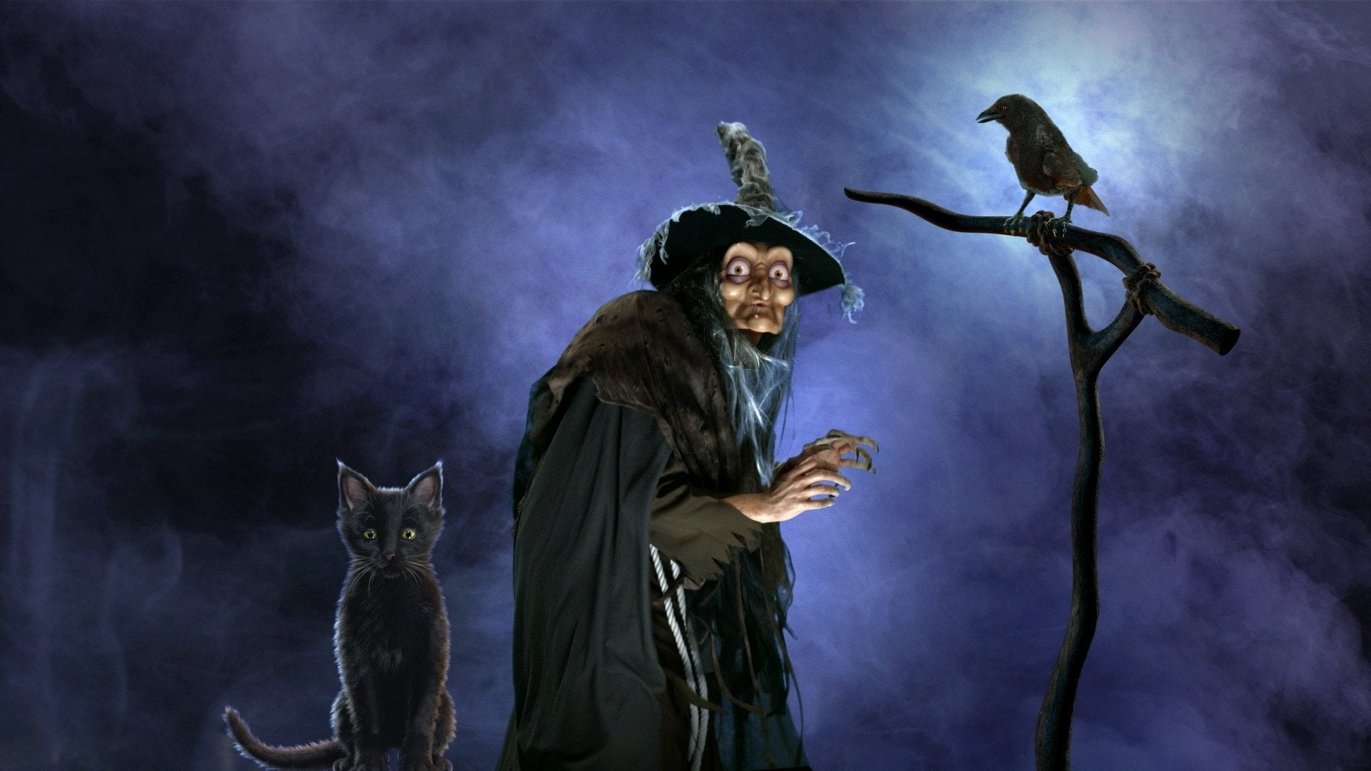 Witching Hour Decoration Collection